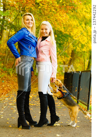 Females wearing fashionable autumn outfits Females wearing fashionable autumn outfits 137442292