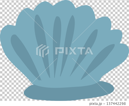 Clam Shell. for Beach and Ocean Decor 137442298