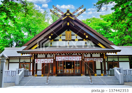 新琴似神社の風景 新琴似神社の風景 137442353