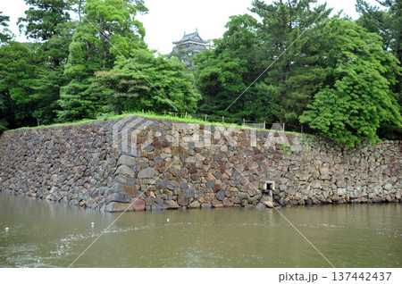 松江城 松江城 137442437