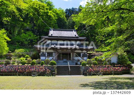 【神奈川県】最勝寺 【神奈川県】最勝寺 137442609