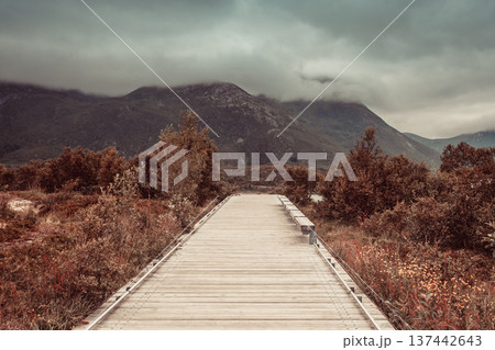 Walkway and fjord landscape, Lofoten Norway Walkway and fjord landscape, Lofoten Norway 137442643
