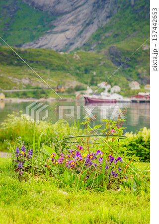 Norwegian fishing village, Reine Lofoten Norway 137442653