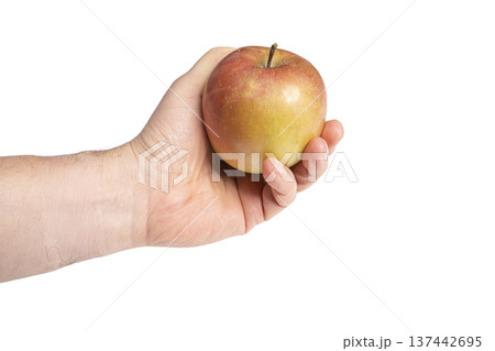 an apple in hand an apple in hand 137442695