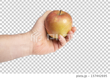 an apple in hand an apple in hand 137442695