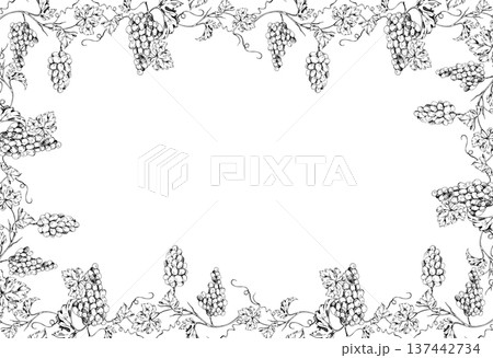 Grape vine frame formed by grape clusters, leaves and curling tendrils arranged in a decorative border. Isolated ink vector illustration. Hand drawn for wine labels, invitations, posters, branding. Grape vine frame formed by grape clusters, leaves and curling tendrils arranged in a decorative border. Isolated ink vector illustration. Hand drawn for wine labels, invitations, posters, branding. 137442734
