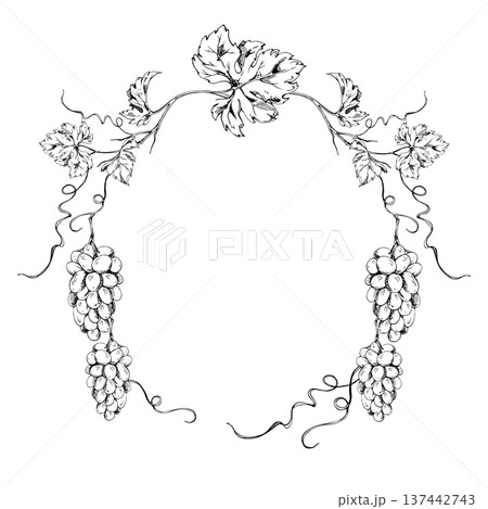 Grapevine wreath frame with intricate leaves on curving branches with spiral creepers and grape bunches. Vector hand drawn ink illustration. Wine menu design, limited edition wine series artwork. Grapevine wreath frame with intricate leaves on curving branches with spiral creepers and grape bunches. Vector hand drawn ink illustration. Wine menu design, limited edition wine series artwork. 137442743