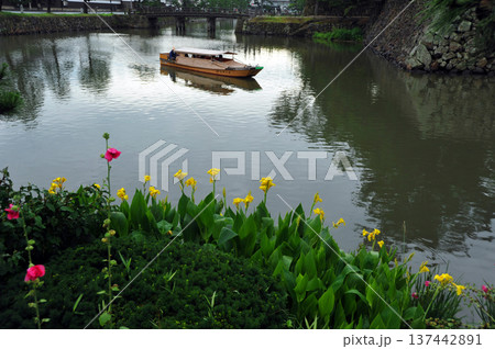 紫陽花が咲く松江城の堀 137442891