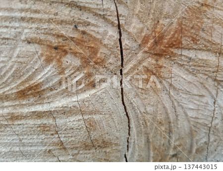 Wooden texture background cut down the middle wood texture Wooden texture background cut down the middle wood texture 137443015