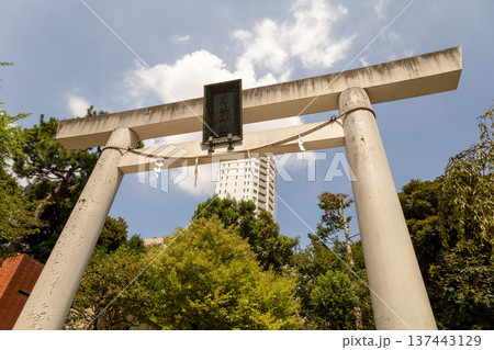 乃木神社 8月 白い鳥居 乃木神社 8月 白い鳥居 137443129