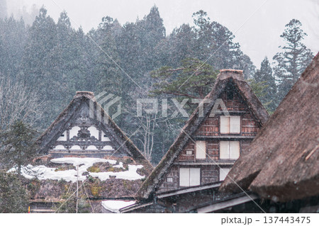白川郷の合掌造り 137443475