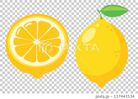 レモンのカットイラスト 137443534