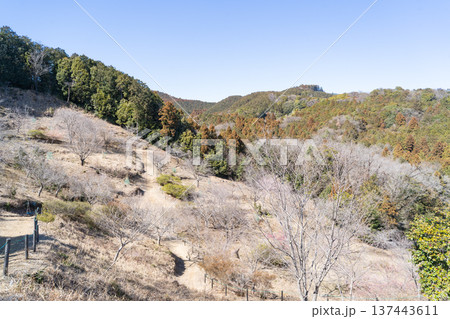 虚空蔵尊さくら公園（越生町） 137443611