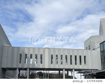 渡り廊下(連絡橋) 137443806