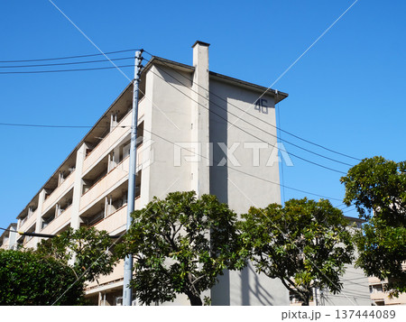 青空に映える団地|辰巳 青空に映える団地|辰巳 137444089