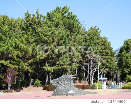 公園にある新緑|辰巳の森緑道公園 公園にある新緑|辰巳の森緑道公園 137444094