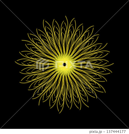 Bright symmetrical abstract pattern with curved yellow lines forming a radiant flower-like shape Bright symmetrical abstract pattern with curved yellow lines forming a radiant flower-like shape 137444177