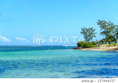 モーリシャスのとても美しいビーチ風景 137444217