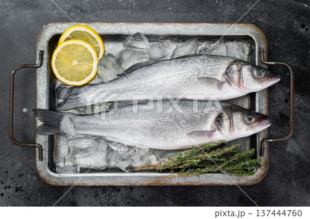 Chilled sea bass duo preserved on ice with fresh herbs and citrus, minimalistic culinary background suitable for menu design and retail seafood concept. Chilled sea bass duo preserved on ice with fresh herbs and citrus, minimalistic culinary background suitable for menu design and retail seafood concept. 137444760