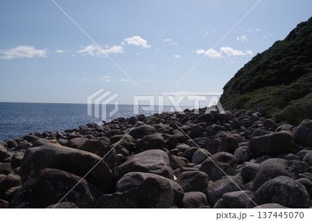 熊野灘のごろた石の海岸 137445070
