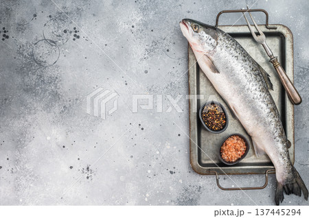 Raw whole Atlantic salmon Salmo salar on baking tray. Premium Norwegian seafood ingredient on gray background with copy space. Raw whole Atlantic salmon Salmo salar on baking tray. Premium Norwegian seafood ingredient on gray background with copy space. 137445294