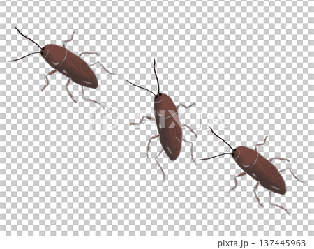Illustration of several cockroaches lined up 137445963