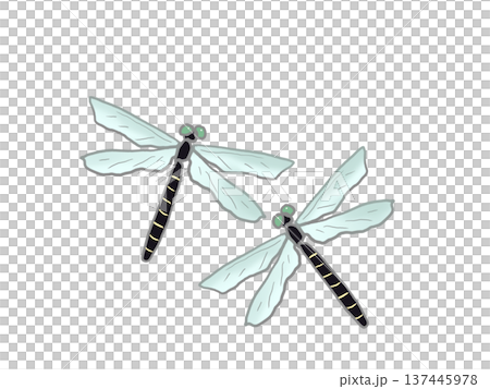 羽を広げたトンボのイラスト 137445978