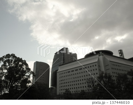 A few soft words after. 137446010