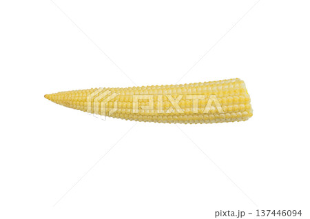 Whole uncooked baby corn cob with yellow texture isolated on white background ideal for healthy food concepts grocery and cooking use Whole uncooked baby corn cob with yellow texture isolated on white background ideal for healthy food concepts grocery and cooking use 137446094