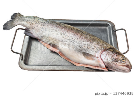 Whole raw rainbow trout on metal tray with herbs and spices flat lay on isolated background with copy space Whole raw rainbow trout on metal tray with herbs and spices flat lay on isolated background with copy space 137446939