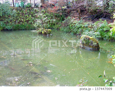 大縣神社の溜池 大縣神社の溜池 137447009