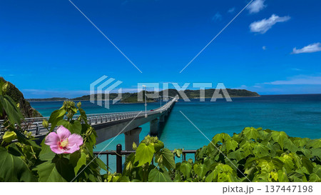 エメラルドグリーンの海と青い空と角島大橋　山口県下関市 137447198
