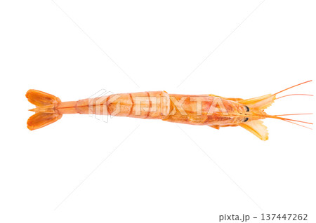 Fresh red Argentine shrimp, raw Prawn Langostino Austral isolated on white background. top view Fresh red Argentine shrimp, raw Prawn Langostino Austral isolated on white background. top view 137447262