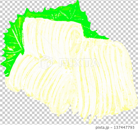 魷魚的插圖 137447793