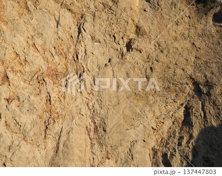 岸壁とテクスチャ‐の融合。一期一会の模様に魅せられて 137447803