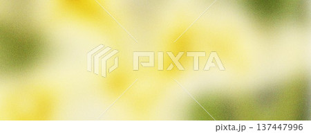 Abstract Green Yellow Soft Blur Background with Fresh Nature Gradient Abstract Green Yellow Soft Blur Background with Fresh Nature Gradient 137447996