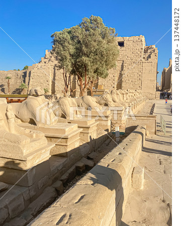 Karnak Temple is dedicated to the temple complex of Ancient Egypt. Thebes, Karnak, Luxor, Egypt 137448172