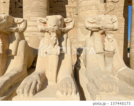 Karnak Temple is dedicated to the temple complex of Ancient Egypt. Thebes, Karnak, Luxor, Egypt 137448173