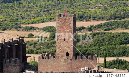 Javier Castle tower standing over rural Navarre landscape 137448385