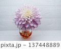 暖色ガラス一輪挿しに挿した薄紫色のダリアの花（中配置） 137448889