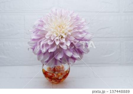 暖色ガラス一輪挿しに挿した薄紫色のダリアの花(中配置) 暖色ガラス一輪挿しに挿した薄紫色のダリアの花(中配置) 137448889