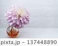 暖色ガラス一輪挿しに挿した薄紫色のダリアの花（左配置） 137448890