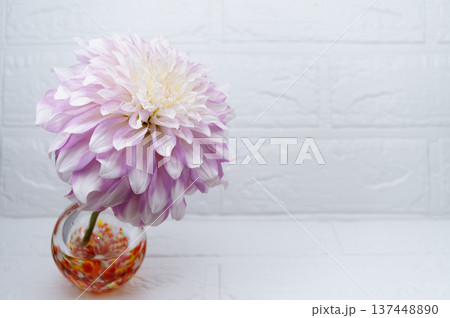 暖色ガラス一輪挿しに挿した薄紫色のダリアの花（左配置） 137448890