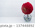 寒色ガラス一輪挿しに挿した赤色のダリアの花（右配置） 137448892