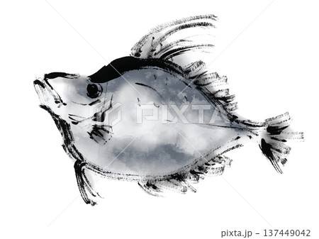 カガミダイの和風筆書きイラスト 137449042