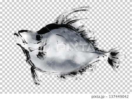 カガミダイの和風筆書きイラスト 137449042