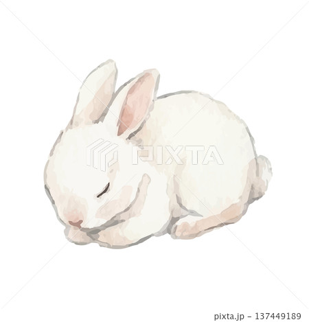 水彩風のうさぎイラスト 137449189