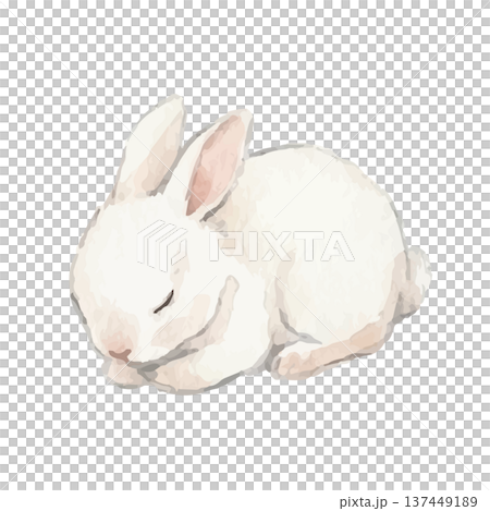 水彩風のうさぎイラスト 137449189