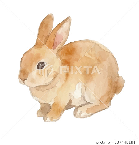 水彩風のうさぎイラスト 水彩風のうさぎイラスト 137449191