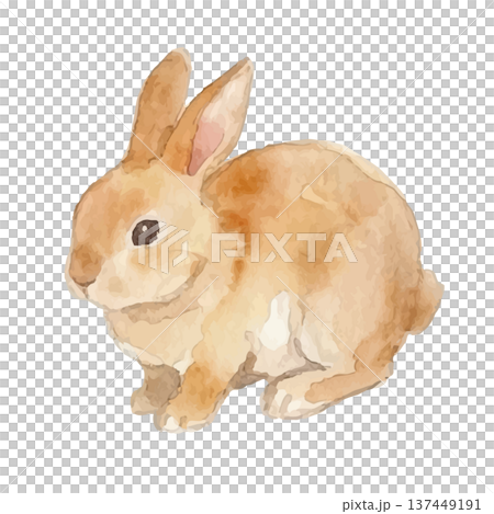 Watercolor style rabbit illustration Watercolor style rabbit illustration 137449191